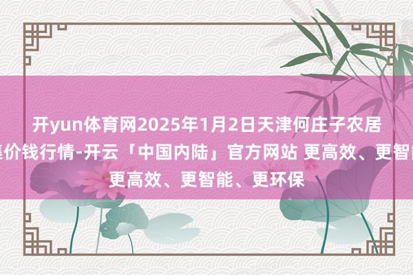开yun体育网2025年1月2日天津何庄子农居品批发市集价钱行情-开云「中国内陆」官方网站 更高效、更智能、更环保