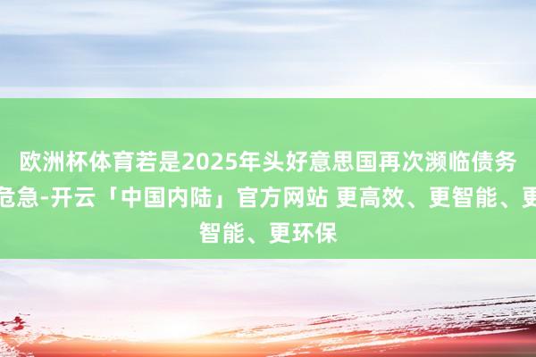 欧洲杯体育若是2025年头好意思国再次濒临债务上限危急-开云「中国内陆」官方网站 更高效、更智能、更环保