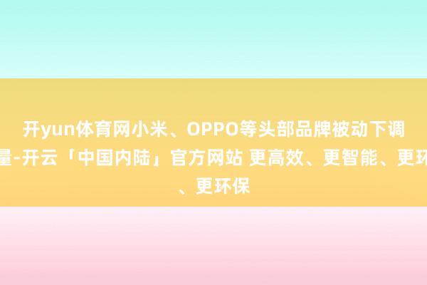 开yun体育网小米、OPPO等头部品牌被动下调产量-开云「中国内陆」官方网站 更高效、更智能、更环保